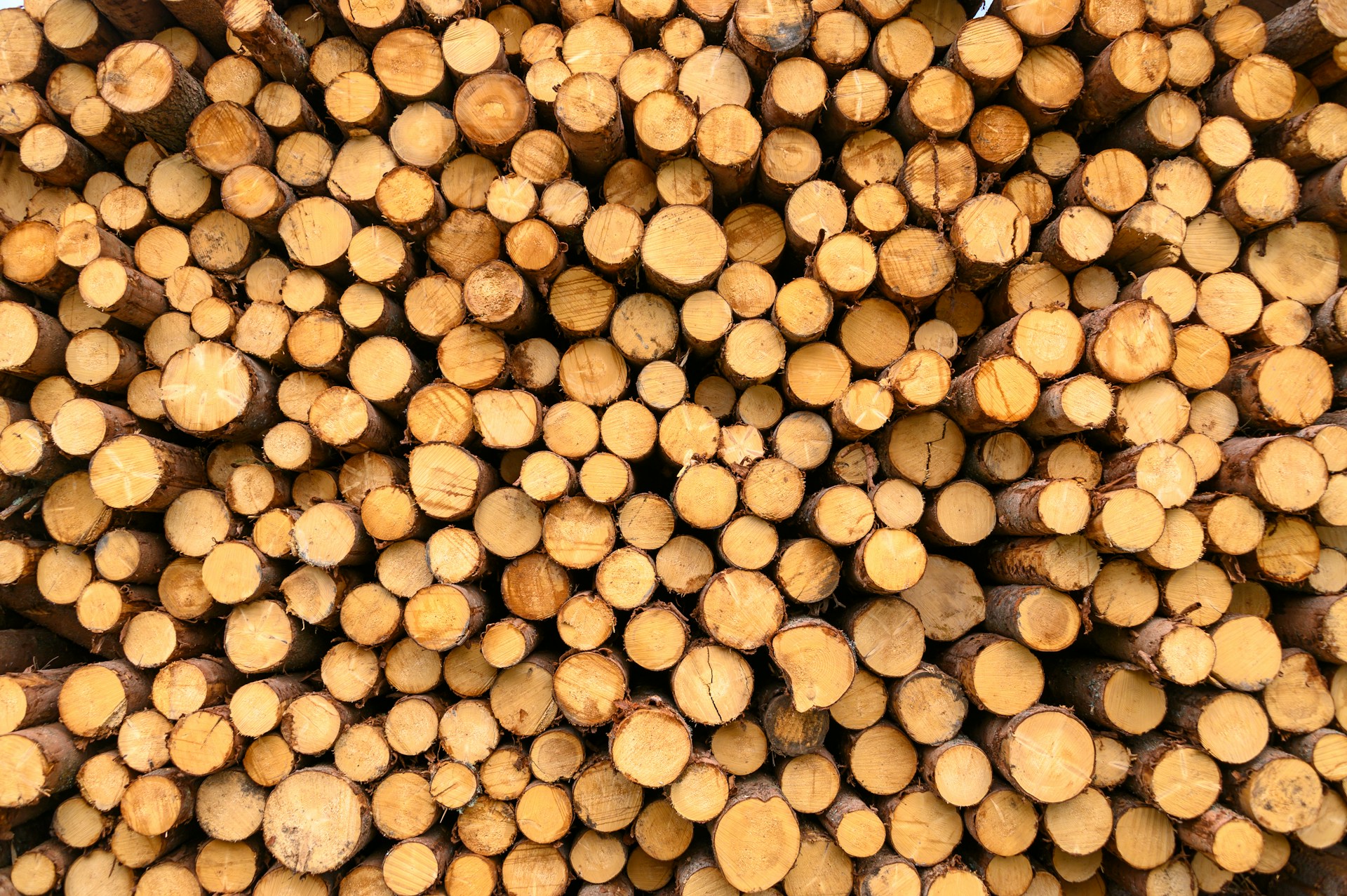 etienne-girardet-T_fYMj6H-pE-unsplash