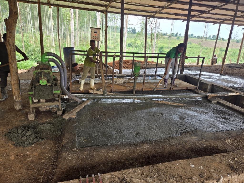 dem organic fertilizer